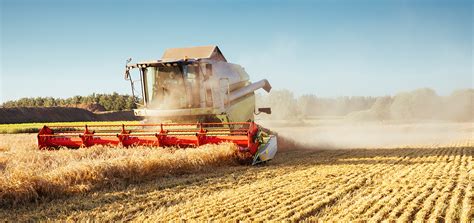 Prevent Crop Loss with Propper Harvest Management - AGRIVI