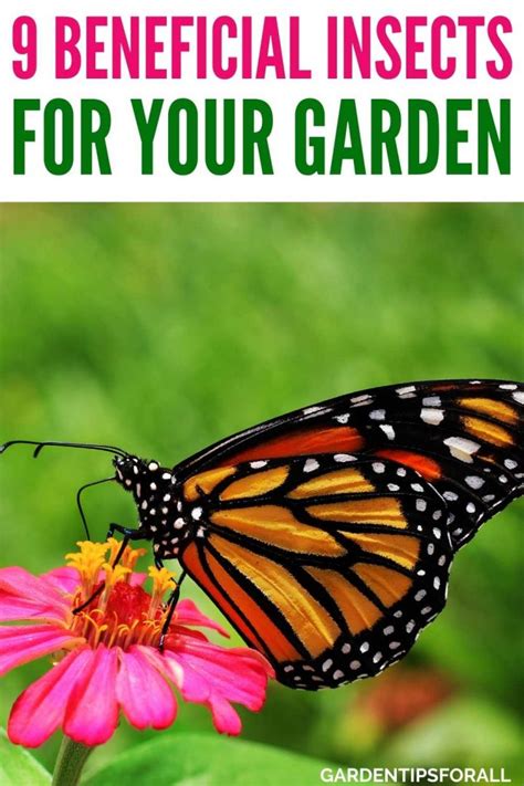 9 Beneficial Garden Insects (Good Bugs) You Need to Know
