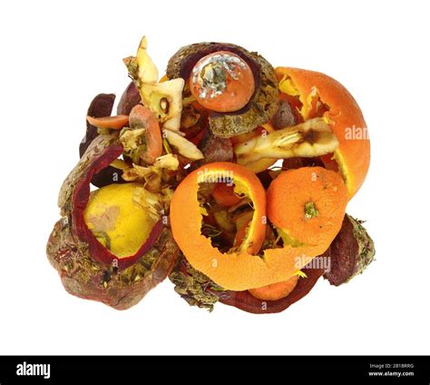 compost pile of kitchen scraps isolated on white background. Composting ...