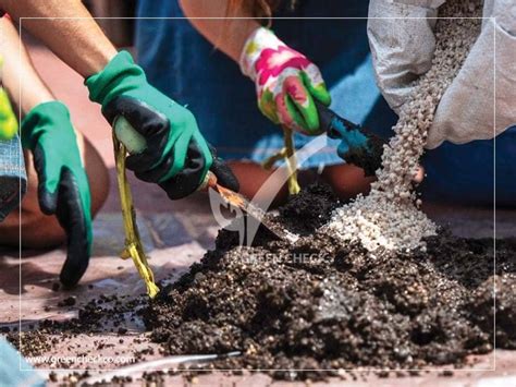 problems with rooftop gardens| Solving roof garden problems with Green ...