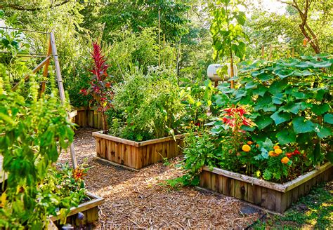 How to Fill a Raised Garden Bed: 3 Affordable Methods