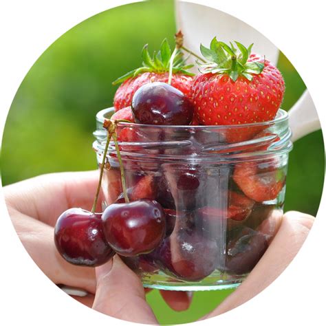 Exploring Food Preservation - KidsGardening