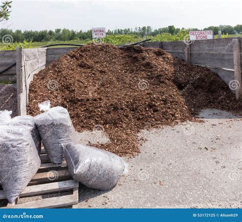 Organic compost stock image. Image of ecology, horticulture - 53172125