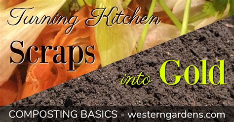How to Compost Your Kitchen Scraps - Western Garden Centers