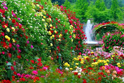 Flowers Garden Wallpapers - Top Free Flowers Garden Backgrounds ...