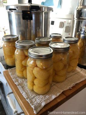 Pressure Canning Potatoes the Raw Pack or Hot Pack Method - Northern ...