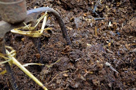 finished-compost | Hip Chick Digs