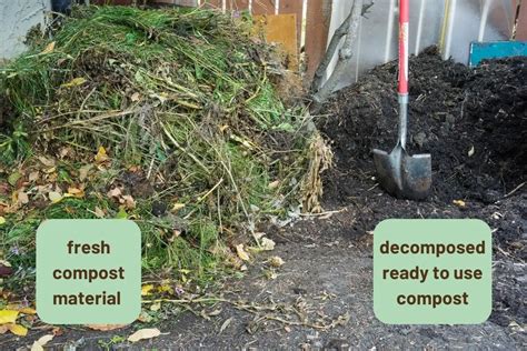 Full Guide to Composting (for the BEST Garden!) – Learn to Live Small