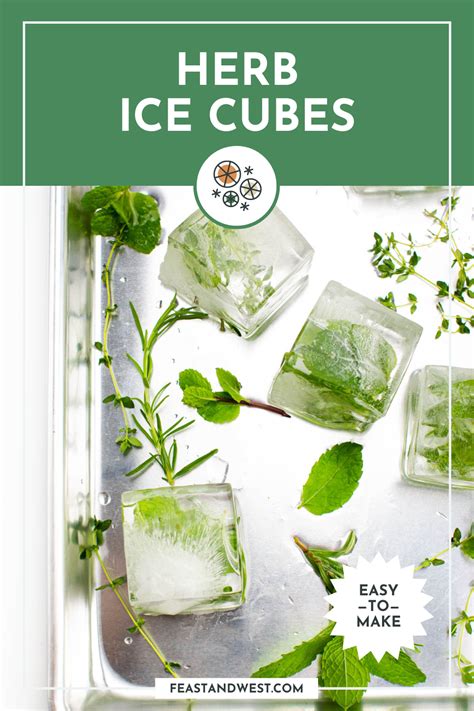 Herb Ice Cubes (Wow Your Friends!) | Feast + West