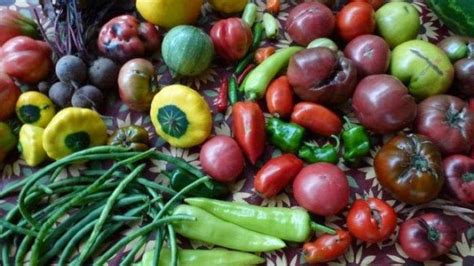 How to preserve summer garden bounty with kids’ help?