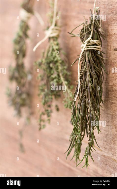 Dried herbs hanging hi-res stock photography and images - Alamy