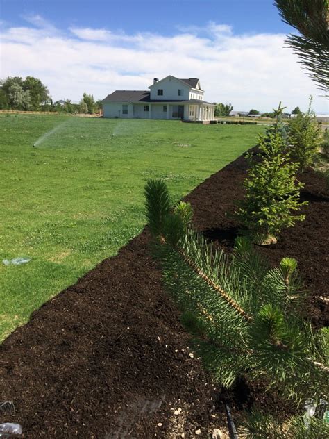 Our Homestead Journey- Join us on our homesteading journey