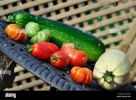 kitchen garden produce Stock Photo - Alamy