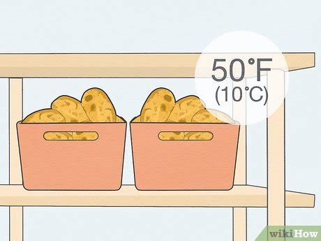 How to Tell If a Potato Is Bad: 6 Signs + Storage Tips