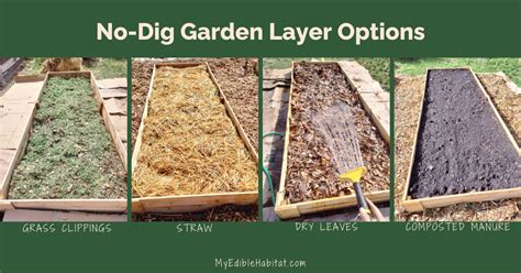 How to Make a No Dig Garden - My Edible Habitat