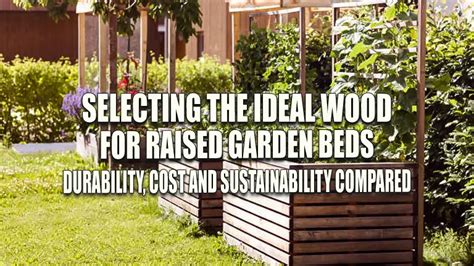 Selecting the Ideal Wood for Raised Garden Beds