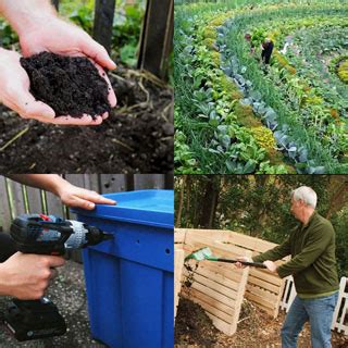 Infographic Choosing The Best Compost Method Gardens