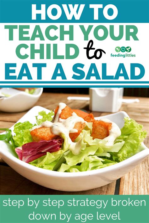 How to Teach your Child to Eat a Salad – Feeding Littles