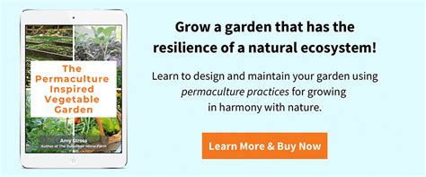 How to naturally improve clay soil for a productive country vegetable garden?