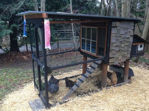 $100 coop...repurposed materials and a ton of time. | BackYard Chickens ...