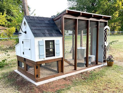 Build a Secure Chicken House: Essential Steps for a Healthy Flock