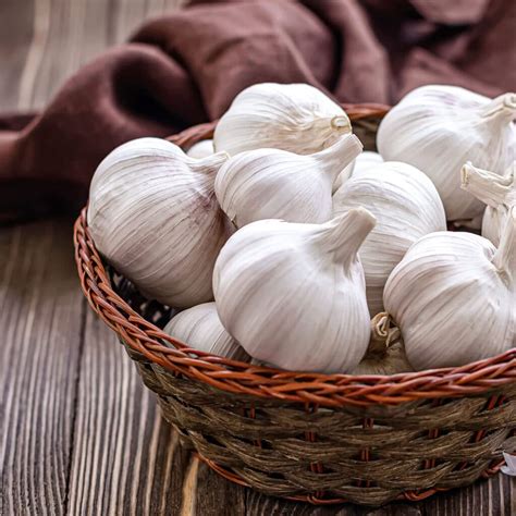 How to Grow Garlic In Pots - Step By Step