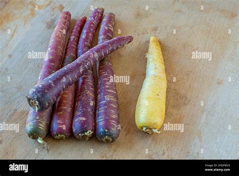 carrots, variety, carrot, varieties Stock Photo - Alamy