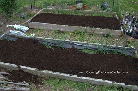 How To Enrich Raised Bed Soil at Ina Pfarr blog