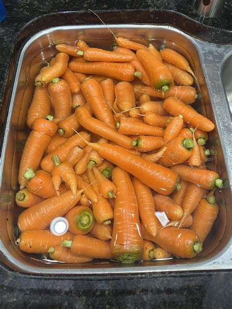 Harvest my fall crop of carrots, 30lbs!! : r/SquareFootGardening