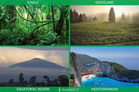 Natural Regions - Definition and Examples of Geographical Units