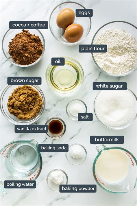 Moist Chocolate Cake - Every Baker's Essential Recipe | Foodelicacy