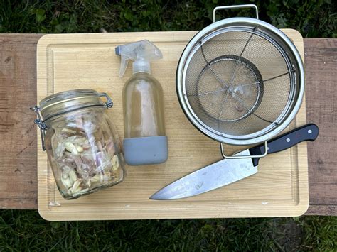 5 Homemade Organic Pest Spray Recipes • Gardenary
