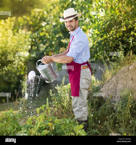 Young male gardener is watering plants in garden Stock Photo - Alamy