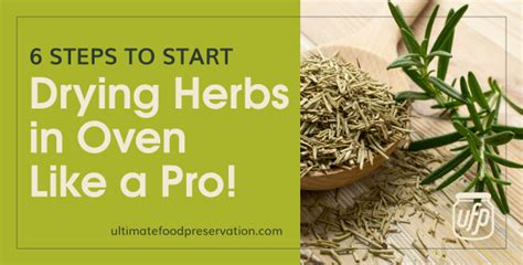 6 Steps To Start Drying Herbs in Oven Like a Pro - UFP