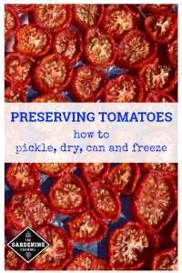 Preserving Tomatoes - Gardening Channel