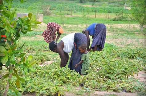 Engaging Rural Villages in Environmental Protection Projects | Senegal