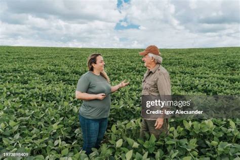 3,509 Farmer Talking In Field Stock Photos, High-Res Pictures, and ...