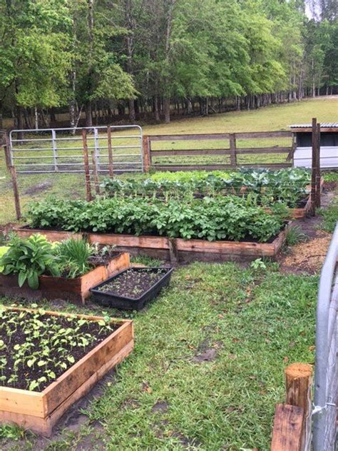 Top 5 Organic Pest Control Methods For Your Vegetable Garden