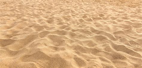 Download Nature Beach Sand Wallpaper | Wallpapers.com
