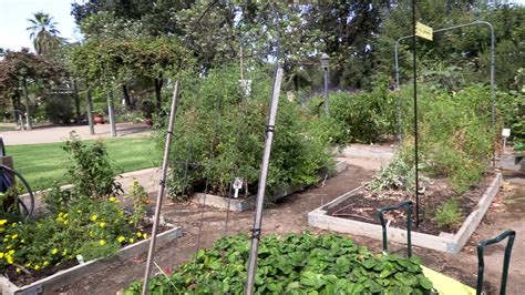 Garden of the Sun - Demonstration Garden - YouTube