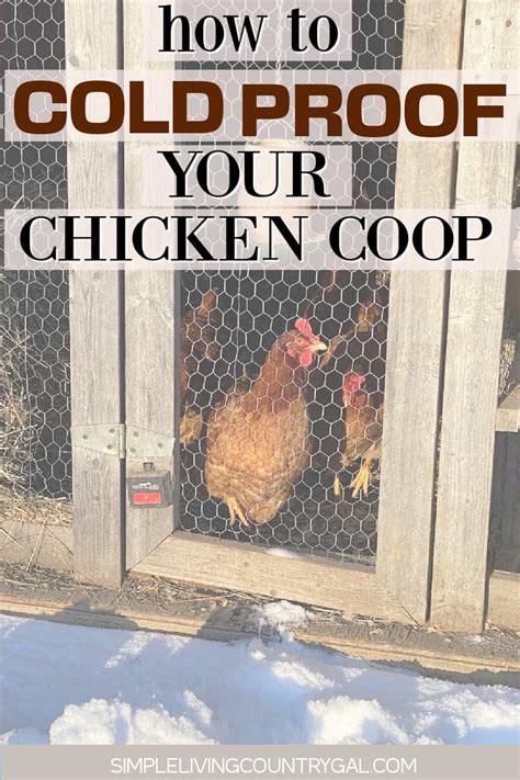 Winter coop tips for healthy, productive backyard hens?