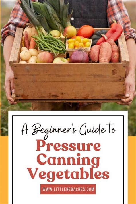 A Beginner's Guide to Pressure Canning Vegetables