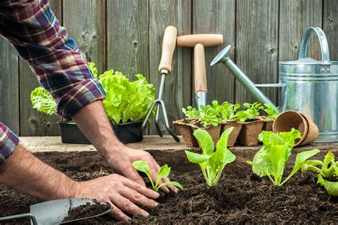 How Gardening Is Good For Your Health – The Humble Gardener