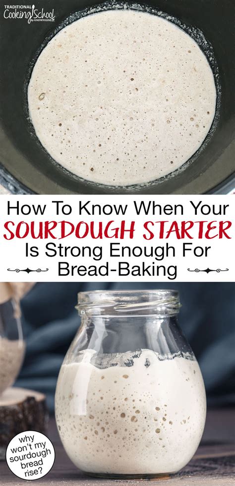 How to troubleshoot sourdough starter issues for consistent homemade bread?