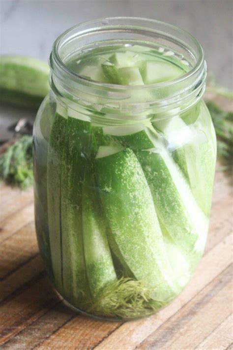 Fermented Dill Pickles Recipe - Natural Rooted Home