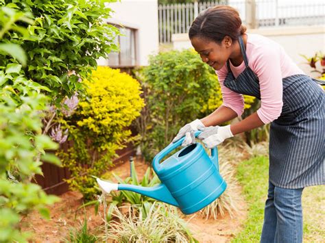The Many Duties Of A Gardener | GardeningLeave