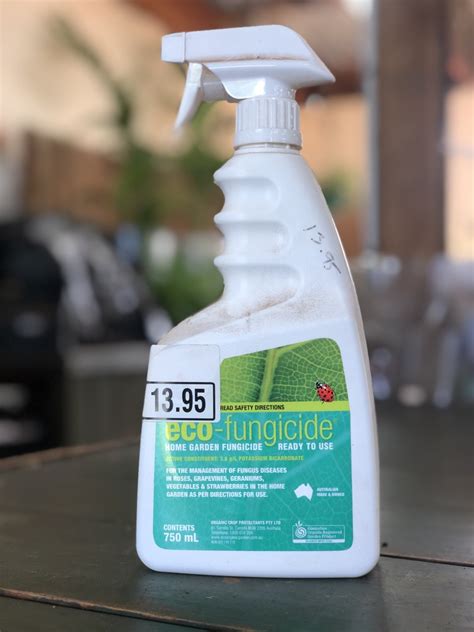 Eco-fungicide Spray — Rockbank Nursery