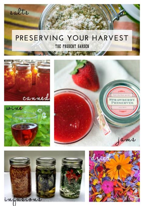 Preserving Your Harvest |Recipes, Tips and Ideas