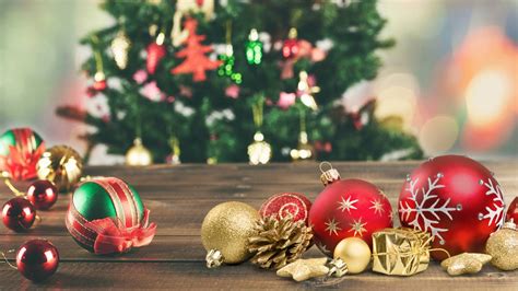 30+ Eco-Friendly Tips For A Sustainable Holiday - GreenCitizen