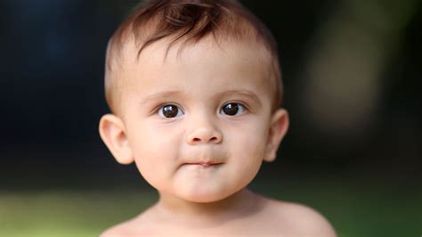 The Vaccine Free Child: Resources for the Modern Parent